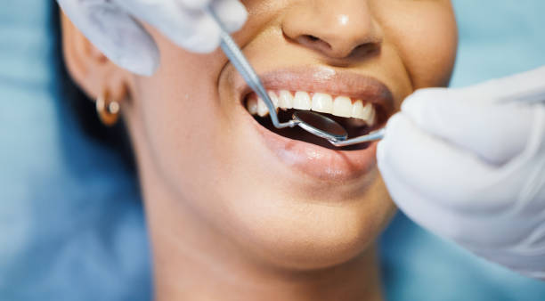 Best Pediatric Emergency Dentist in Feather Sound, FL