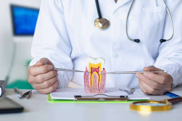 Best Urgent Dental Care for Toothache in Feather Sound, FL